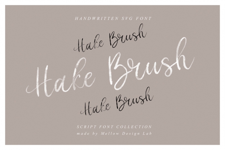 Hake Brush SVG Script Font Download
