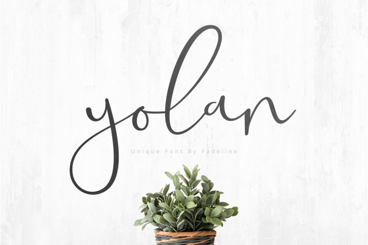 Yolan Unique Font Download