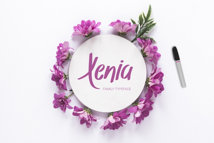 Xenia Family Typeface Font Download