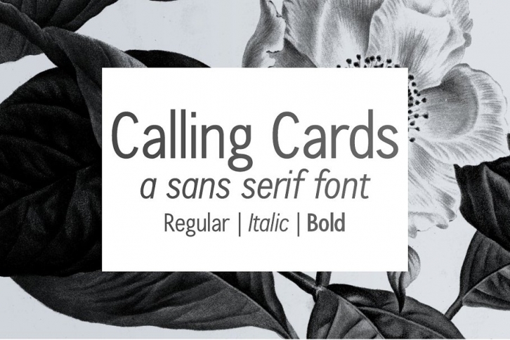 Calling Cards sans serif font Font Download