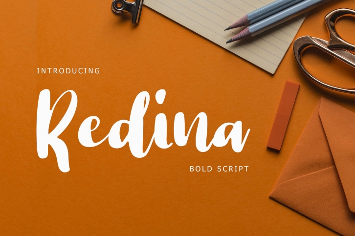 Redina Bold Script Font Download