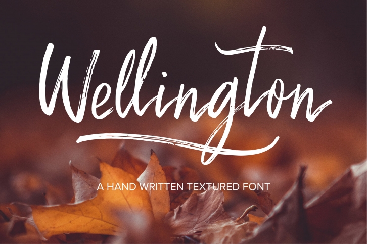 Wellington Script Font Download