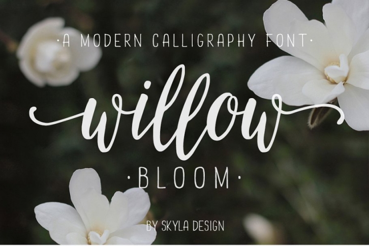 Willow Bloom modern calligraphy font Font Download