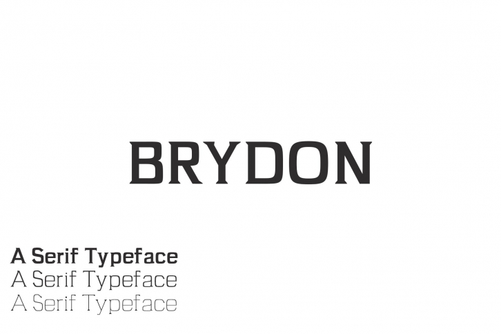 Brydon Serif 3 Family Pack Font Download