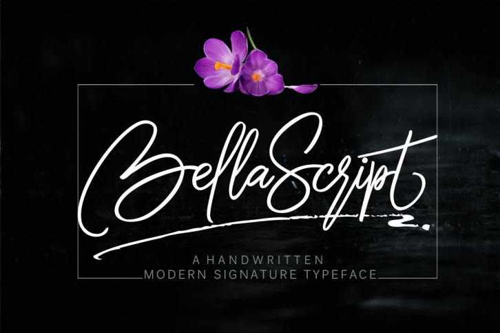 bella script Font Download