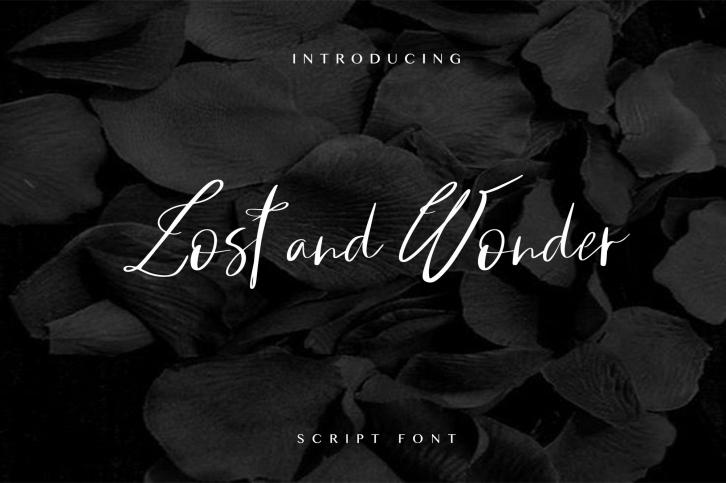 Lost and Wonder Script Font Download