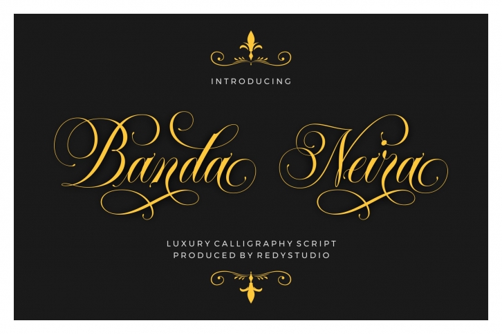 SALE 50% OFF / Banda Neira Script Font Download