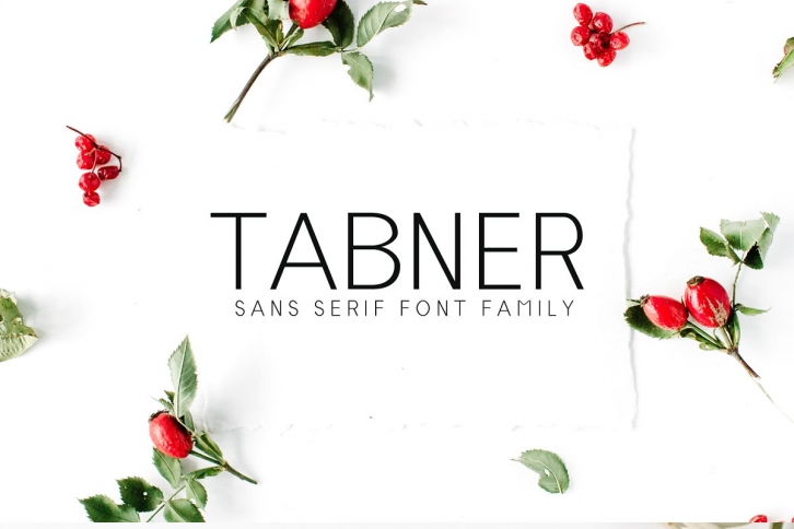 Tabner Sans Serif Family Font Download