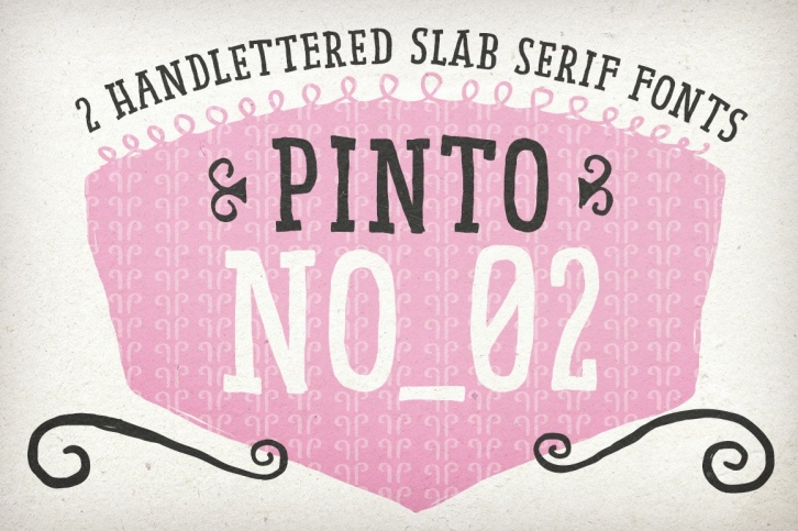 Hand Drawn Pinto NO_02 for Books Font Download