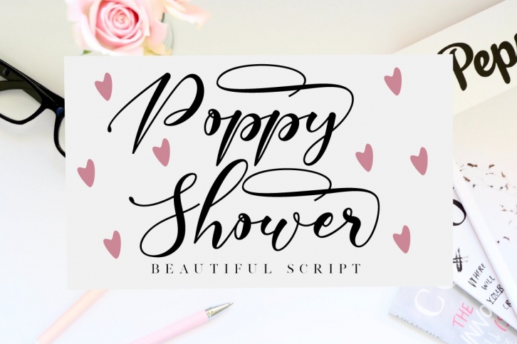 Poppy Shower // Modern Script Font Download