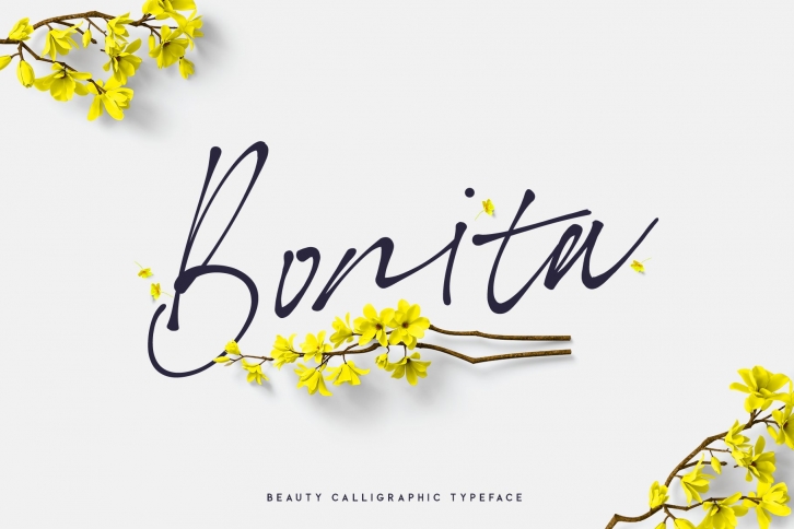 Bonita. Script font family. Font Download