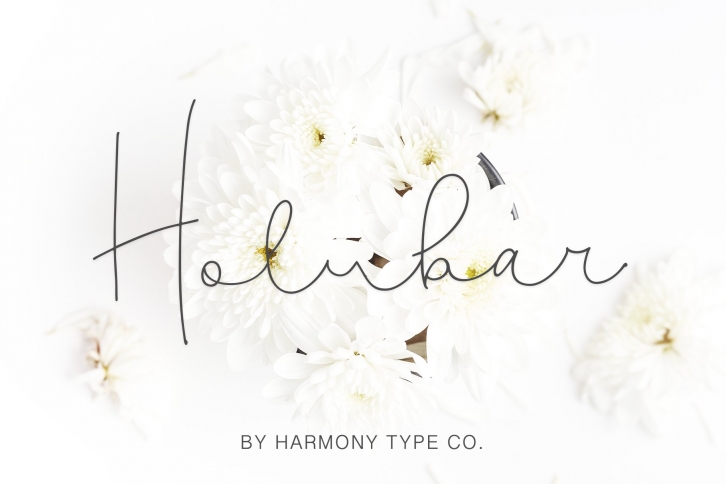 Holubar Script Font Download
