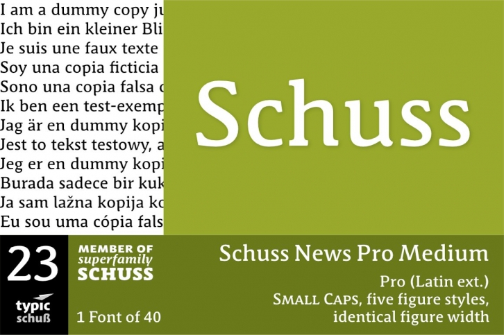 SchussNewsProMedium No.23 (1) Font Download