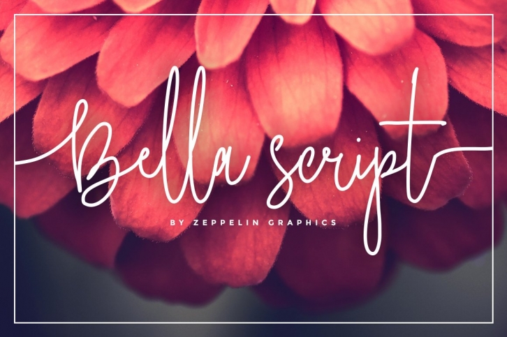 Bella Script Font Download