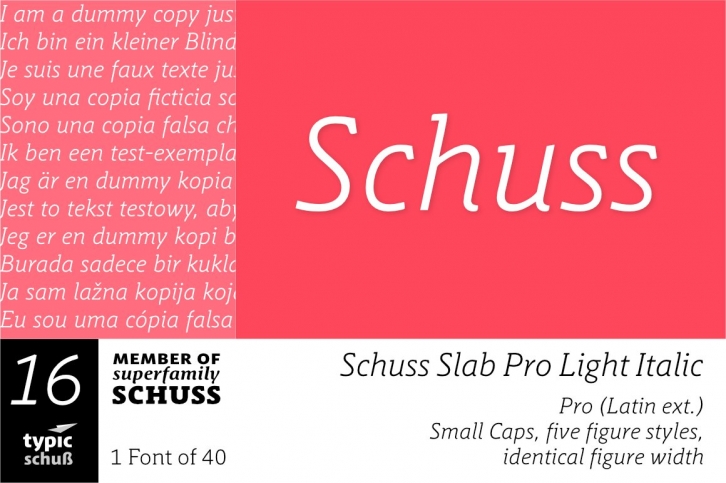 SchussSlabProLightIta No.16 (1) Font Download