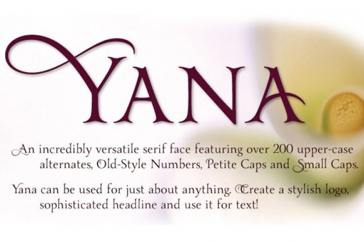 Yana Italic Font Download