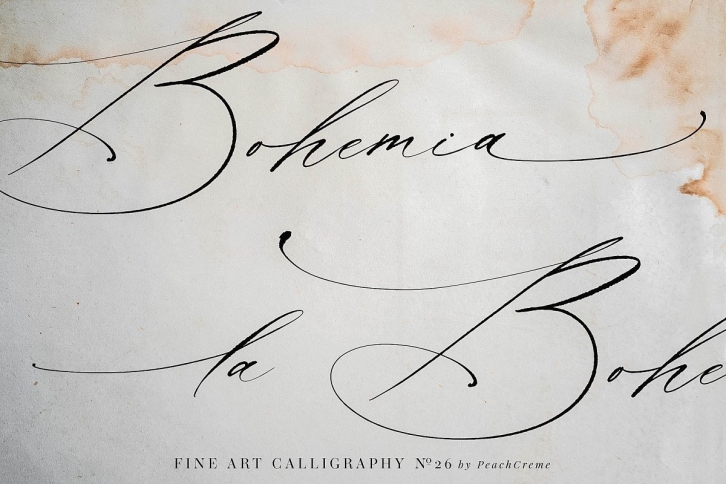 La Bohemia // Fine Art Calligraphy Font Download