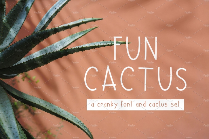 Fun Cactus and Graphics Pack Font Download