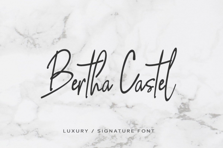 Bertha Castel Font Download