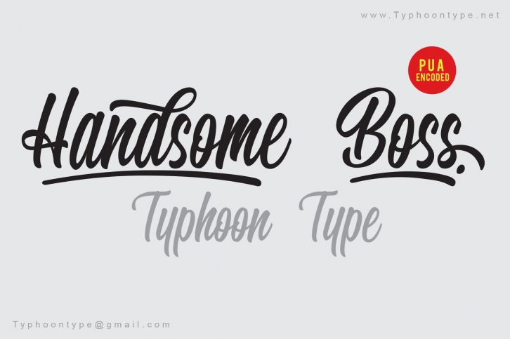 Handsome Boss font Font Download