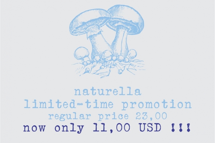 Naturella, organic dingbats Font Download