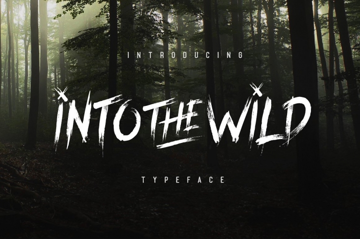 Into The Wild Typeface Font Download