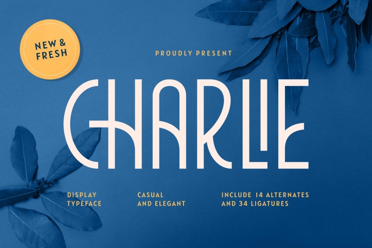 Charlie Font Download