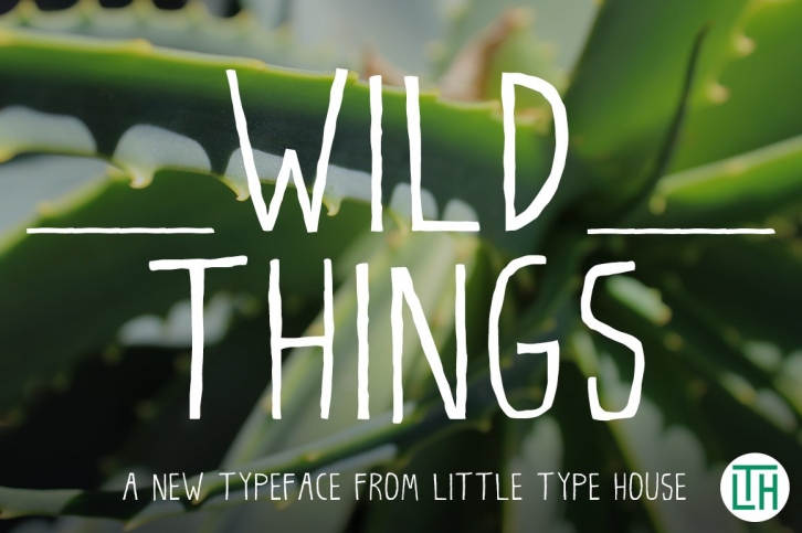 Wild Things Font Download