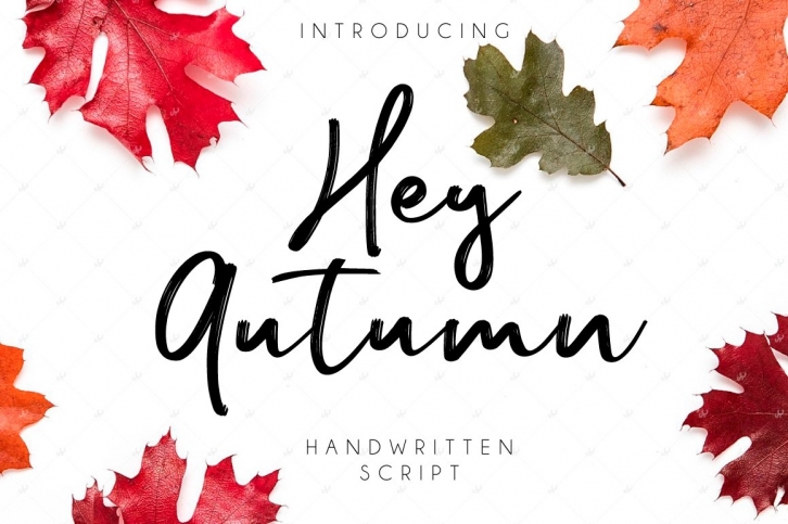 Hey Autumn Font Download