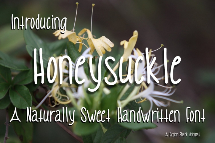 Honeysuckle Font Download
