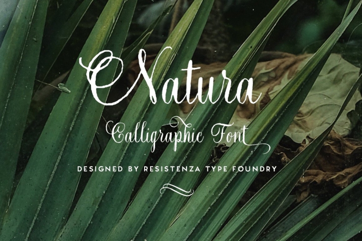 Natura Script Font Download