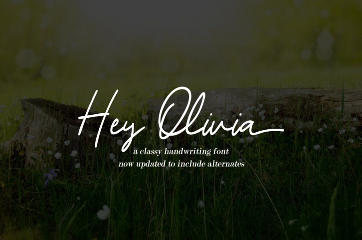 Hey Olivia Font Download