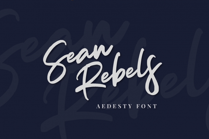 Aedesty // Handwritten Font Download