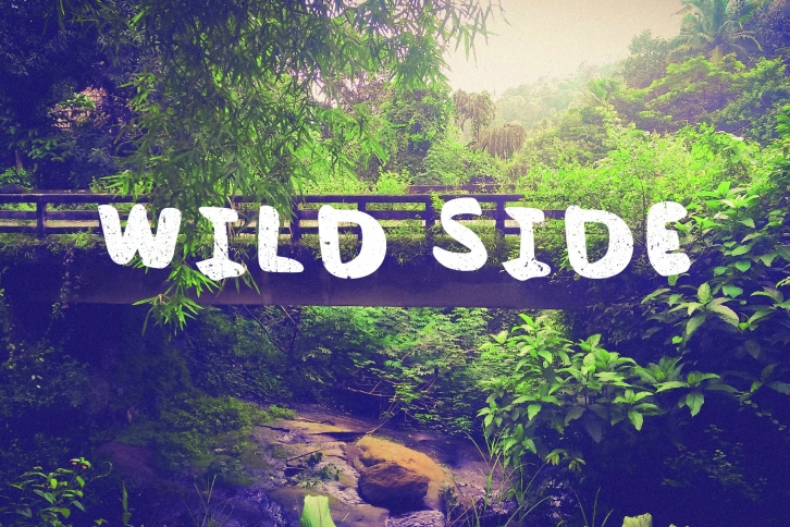 Chillout Font Download