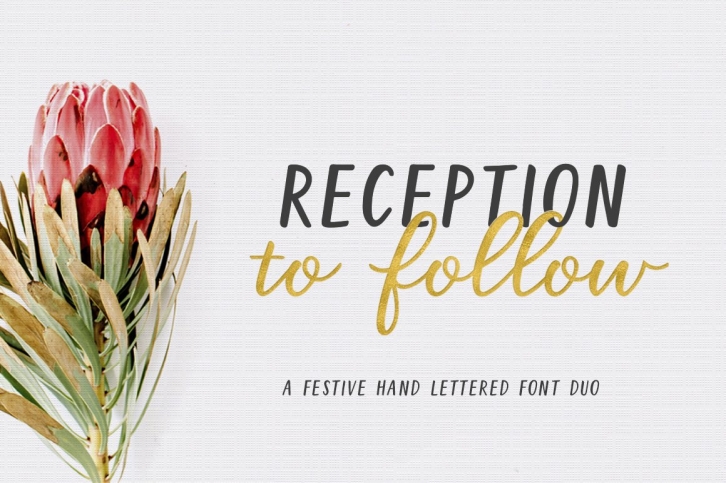 Reception to Follow Font Download