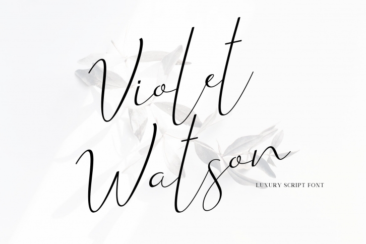 Violet Watson Font Download