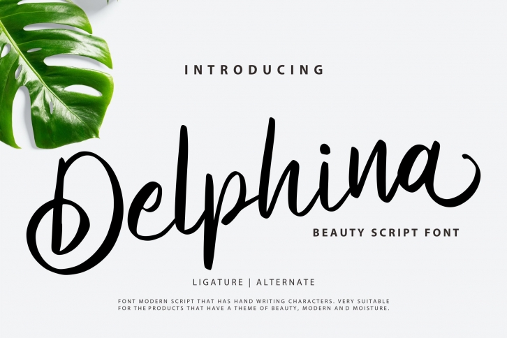 Delphina Font Download