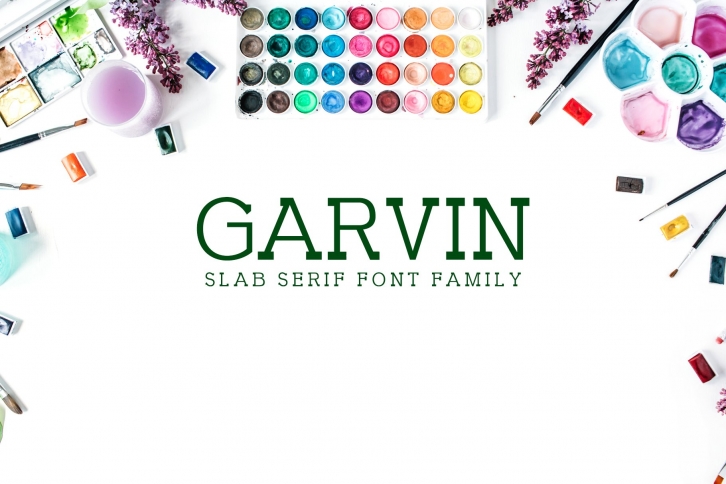 Garvin Slab Serif Family Font Download
