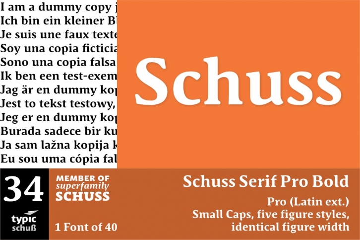 SchussSerifProBold No.34 (1) Font Download