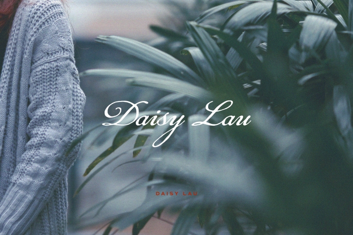 Daisy Lau Font Download