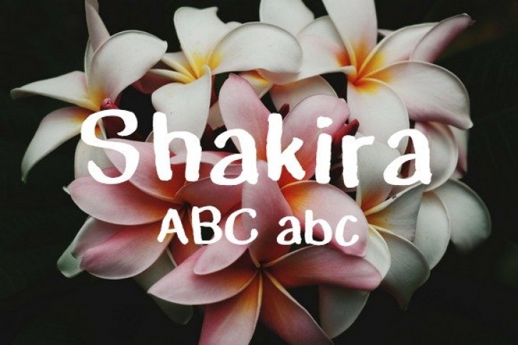 Shakira Typeface Font Download