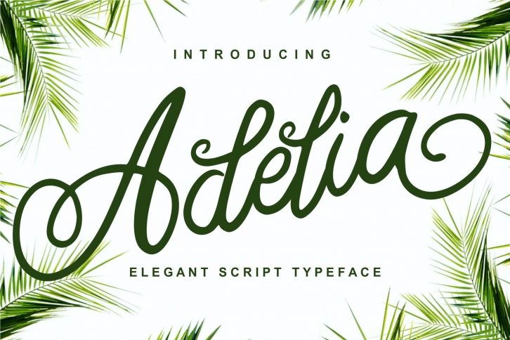 Adelia Font Download