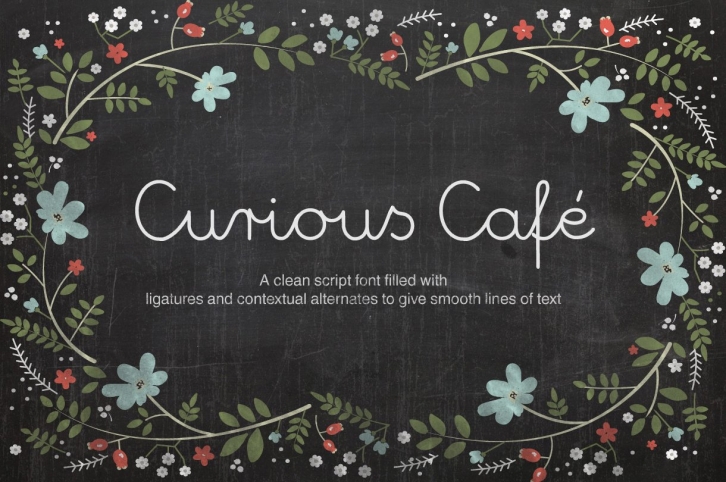 Curious Cafe Script Font Download