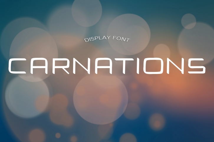 CARNATIONS font Font Download