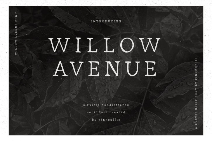 Willow Avenue Font Download