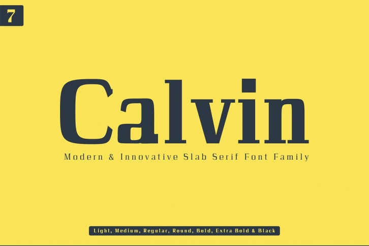Calvin Slab Serif Family Font Download