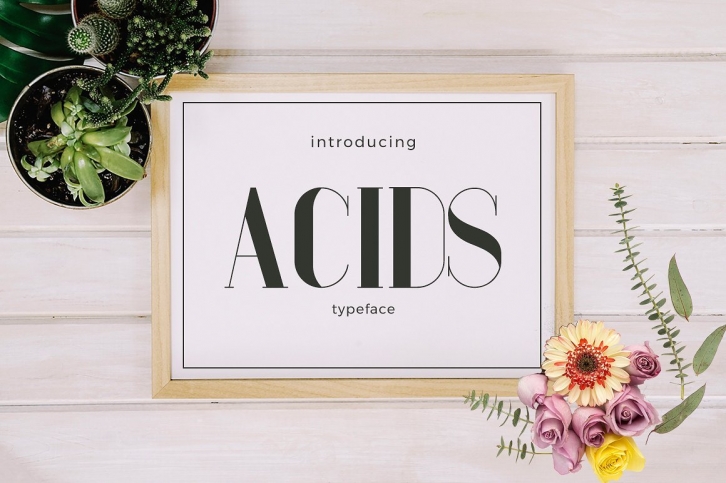 Acids Typeface Font Download
