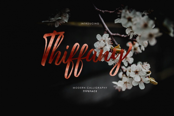 Thiffany Script Font Download