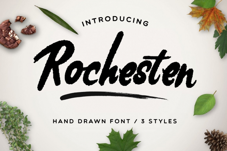 Rochesten [3 Styles + Swashes] Font Download