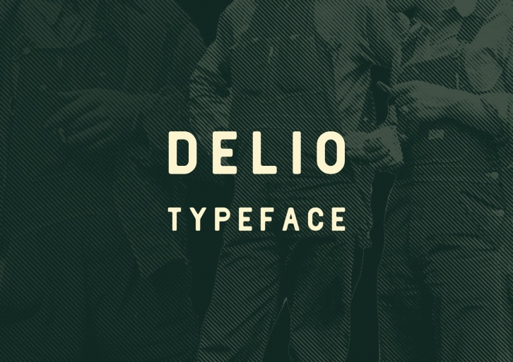 Delio Typeface Font Download
